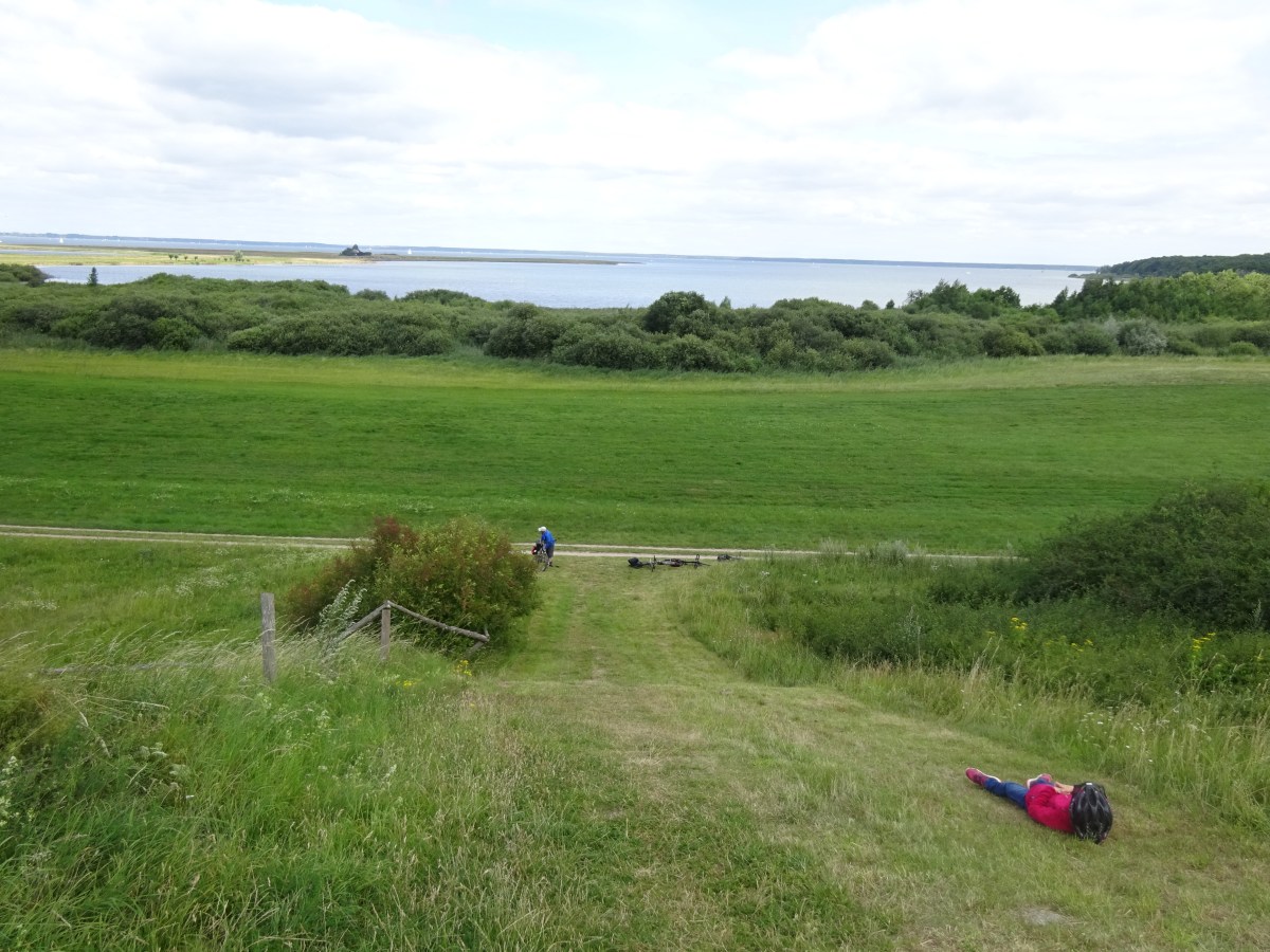 Quand j&rsquo;ai de la fièvre, je suis&nbsp;PDG