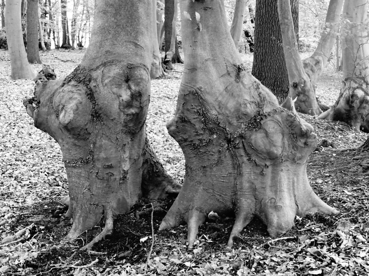 Le vertige d&rsquo;une&nbsp;fondue